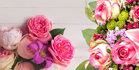 banner2
