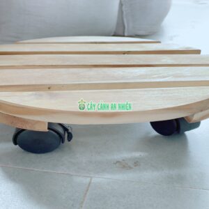 don-tron-banh-xe-1