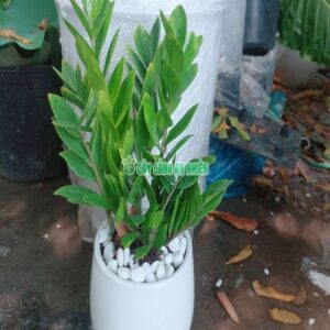 kiem-tien-de-ban-1